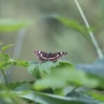 Carte géographique_795